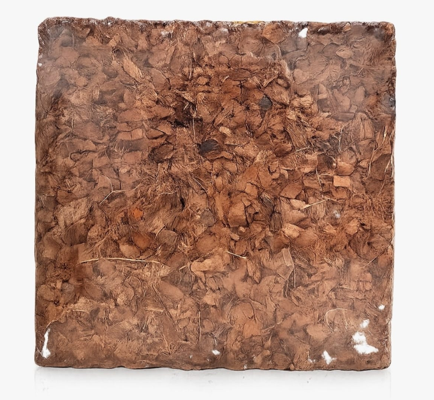 Coco Chips Block
