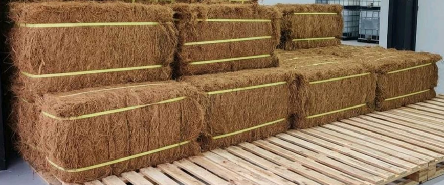 Coconut Fiber (Cocofiber)
